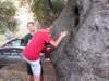 thensometreeclimbing_small.jpg